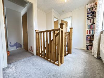 Picture 15